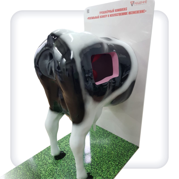 Simulator "Rectal examination and artificial insemination of cattle"