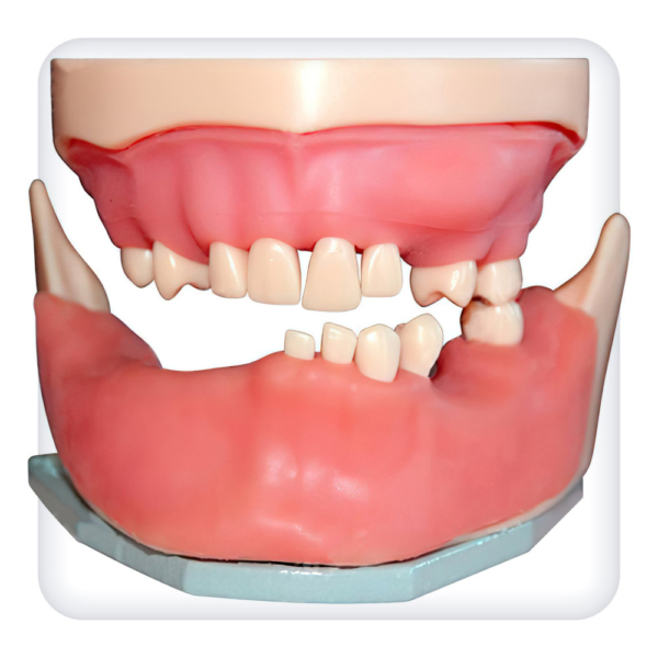 Model for practicing surgical skills