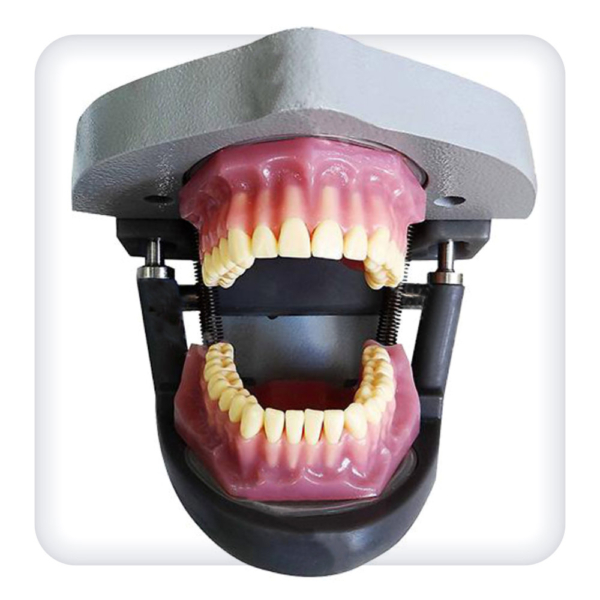 Dental Simulator