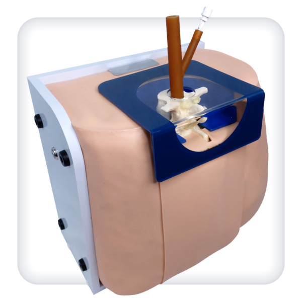 Spinal injection simulator for adults