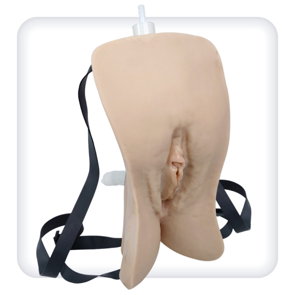 Simulator for practicing the skills of female urethral catheterization