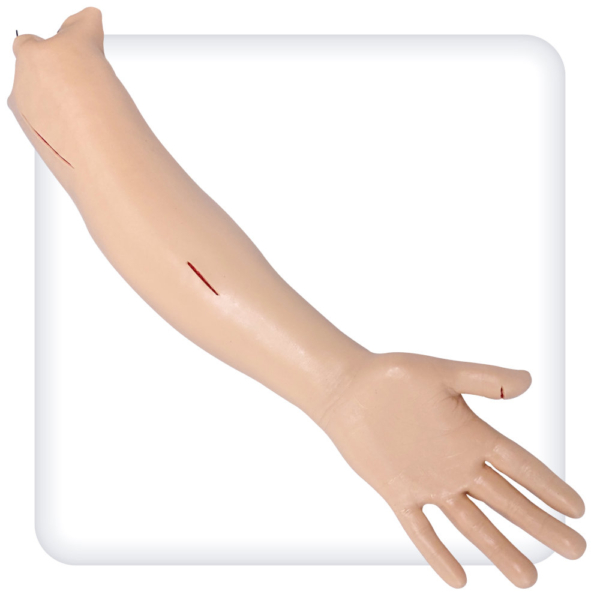 Model of the hand for suturing