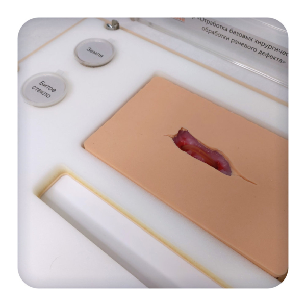 Simulator for practicing basic surgical skills of wound defect treatment