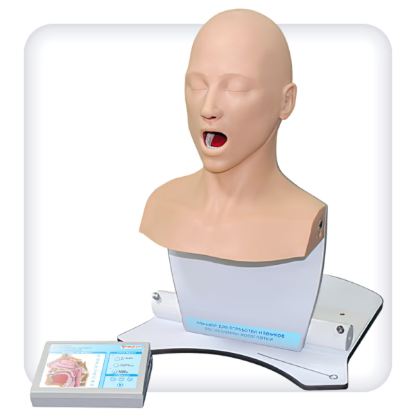 Simulator for practicing nasopharyngeal examination skills