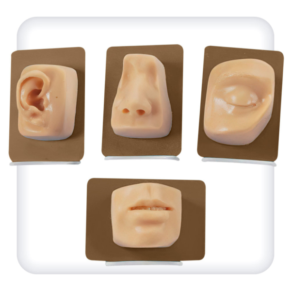 Models for suturing in maxillofacial surgery