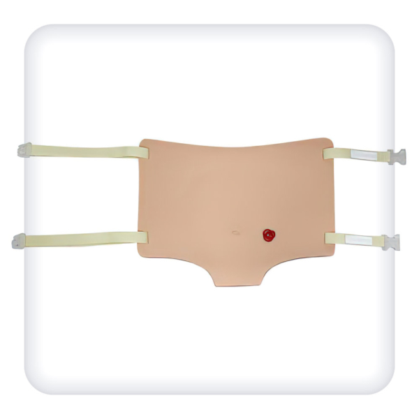 Simulator for practicing the skills of stoma care (type 1)