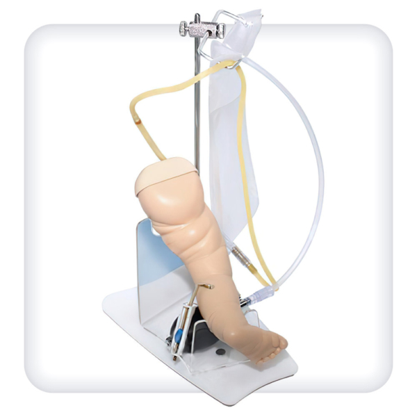 Model of the lower limb of a newborn for practicing the skills of intravenous and intramuscular injections