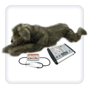 Simulator for practicing CPR skills in dogs