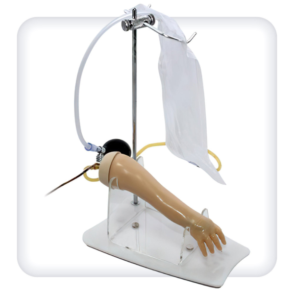 Model of the upper limb of a newborn for practicing the skills of intravenous procedures