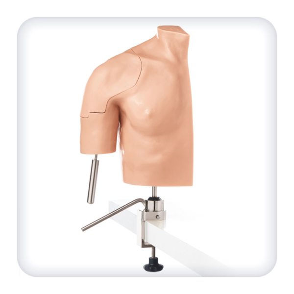 Model of the shoulder joint for arthroscopic procedures