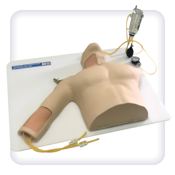 Trainer for practicing the skills of central venous catheterization