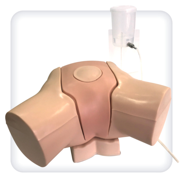 Simulator for practicing cystostomy skills under ultrasound control
