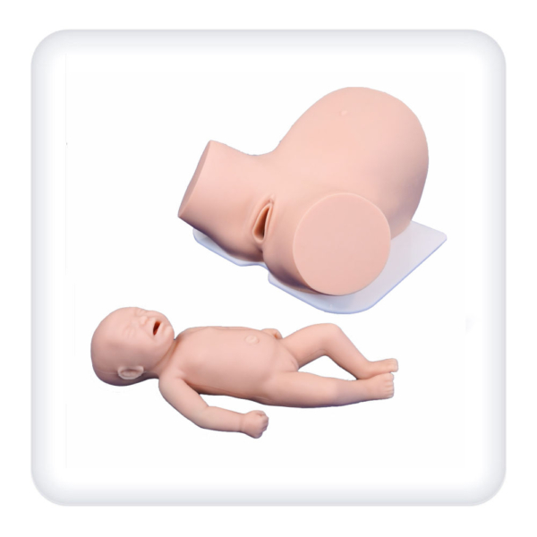 Simulator for obstetric skills practicing