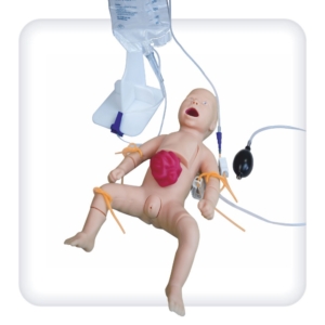 Multi-functional newborn baby simulator (basic)